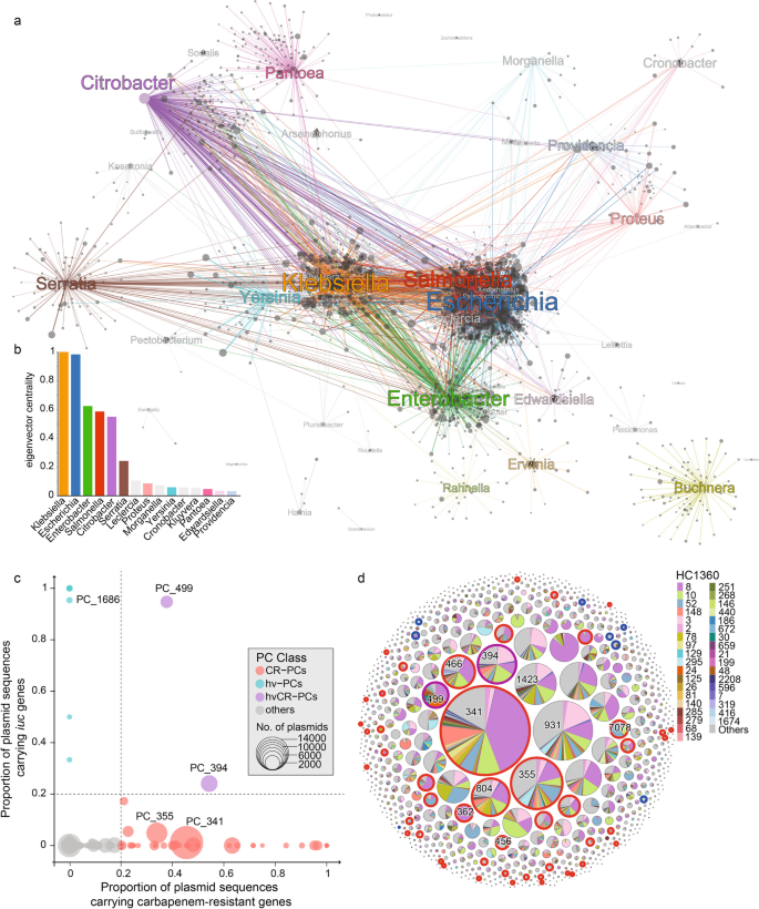 KleTy: integrated typing scheme for core genome and plasmids reveals repeated emergence of multi-drug resistant epidemic lineages in *Klebsiella* worldwide