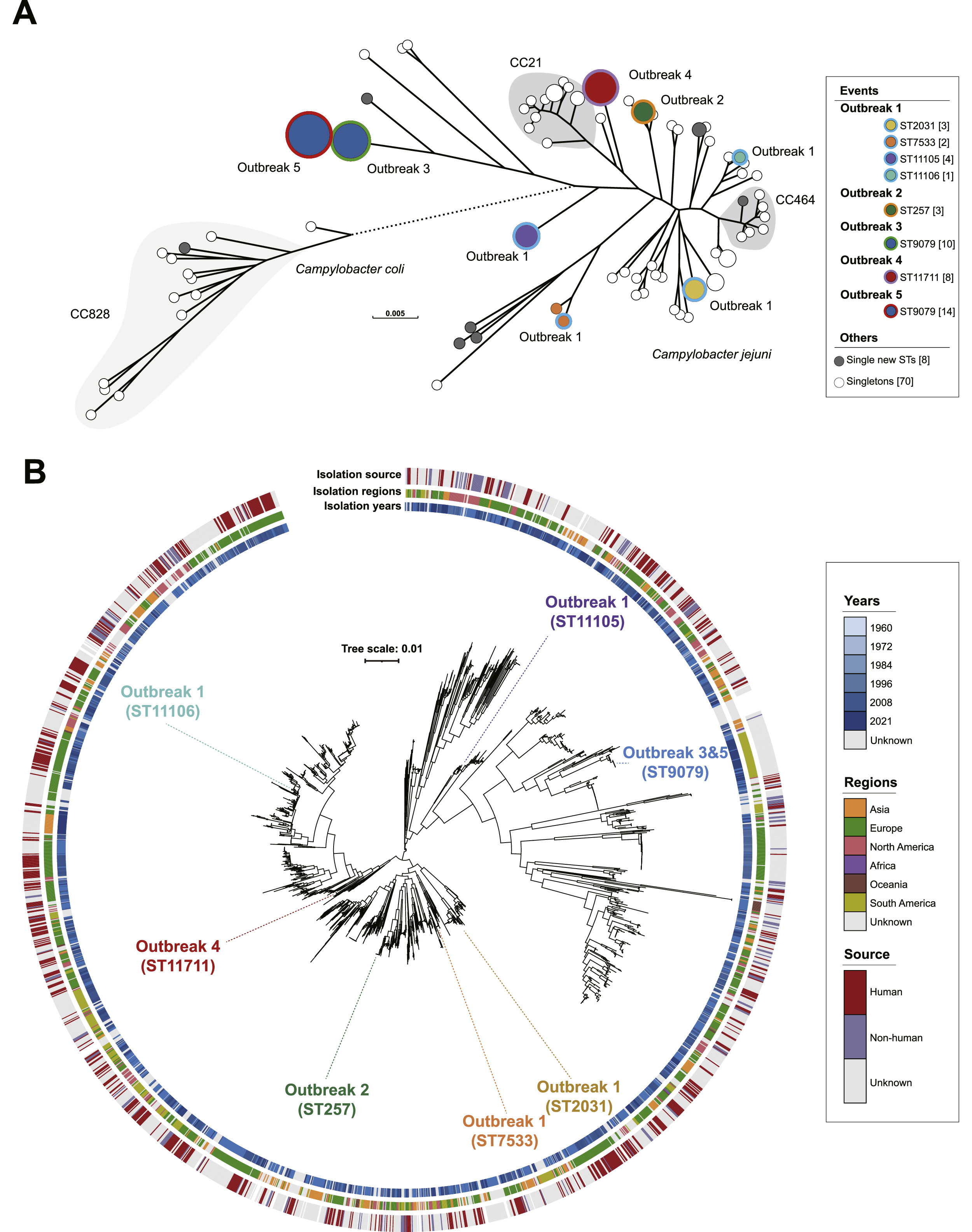 Epidemiological and molecular investigations of sequential outbreaks of *Campylobacter jejuni* infecting adults and schoolchildren in southeastern China, 2021-2022
