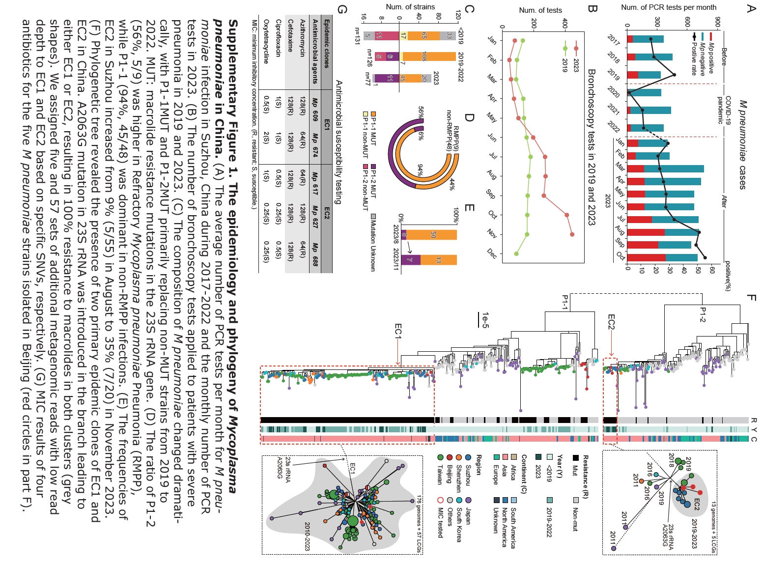 Resurgence of *Mycoplasma* pneumonia by macrolide-resistant epidemic clones in China