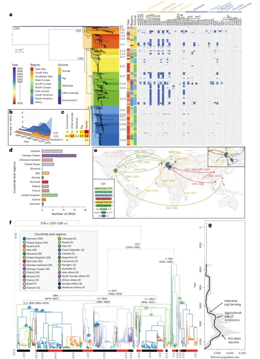 Centralized industrialization of pork in Europe and America contributes to the global spread of *Salmonella enterica*