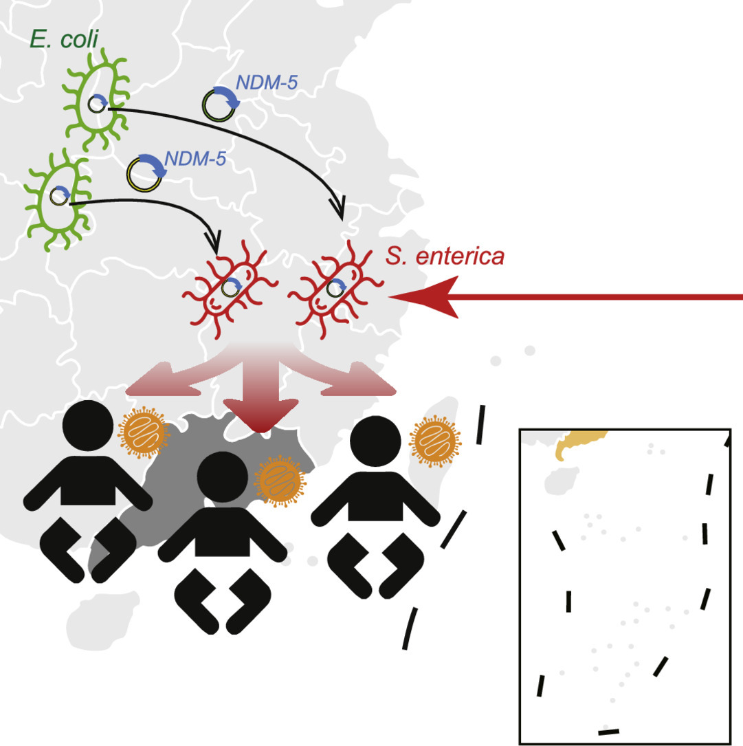 Emergence of carbapenem-resistant XDR *Salmonella enterica* in pediatric patients in South China: a genomic perspective study
