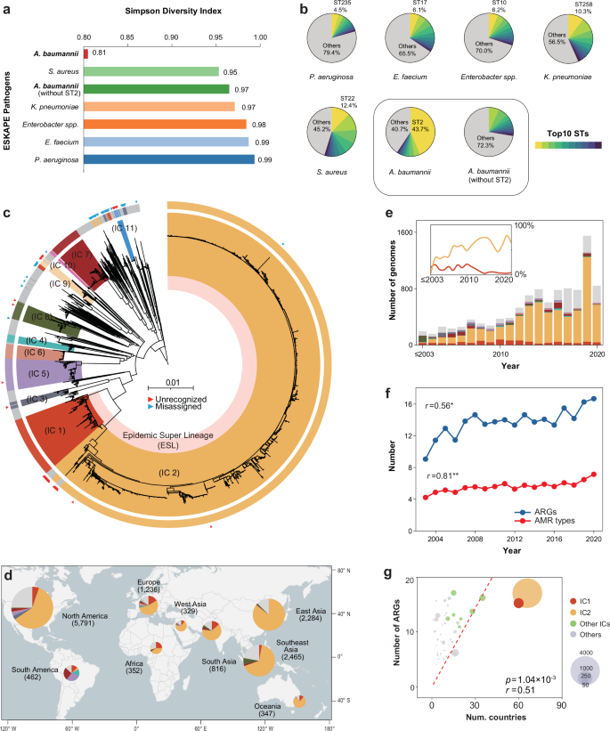 Emergence and global spread of asss dominant multidrug-resistant clade within *Acinetobacter baumannii*