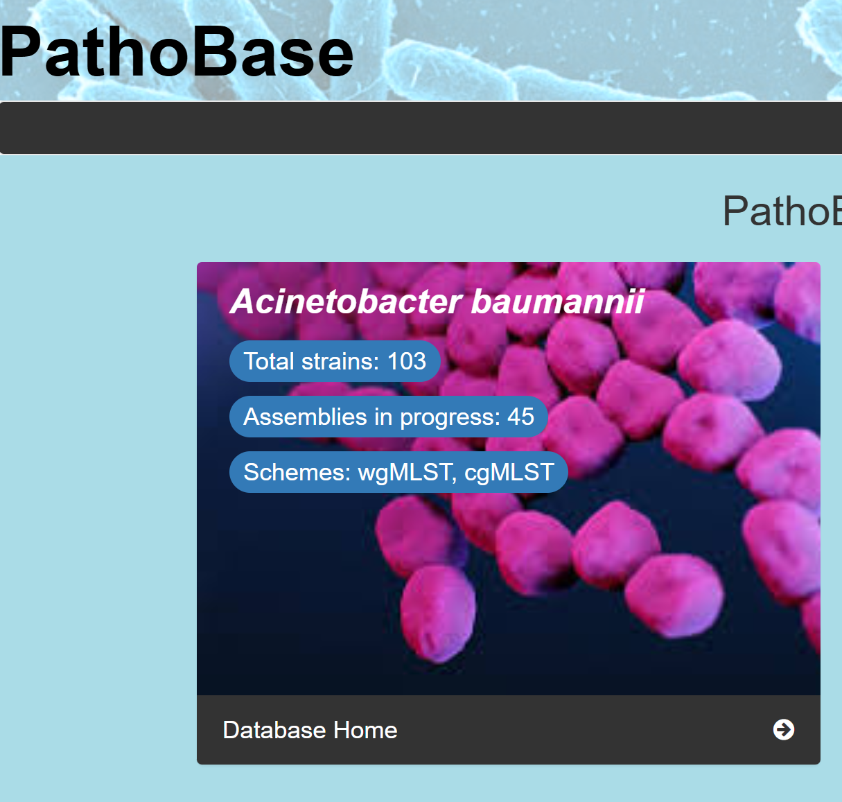 PathoBase: an integrated One Health approach for zoonotic pathogen genomics analysis